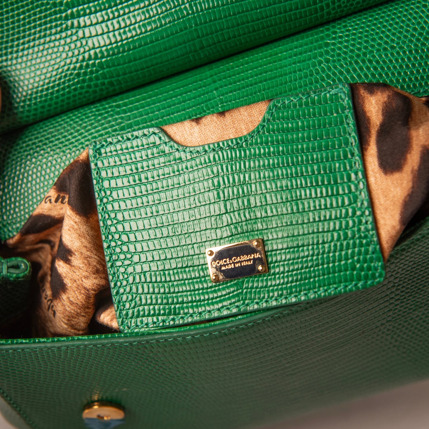 Dolce & Gabbana Green Sicily Iguana-Print Leather Bag