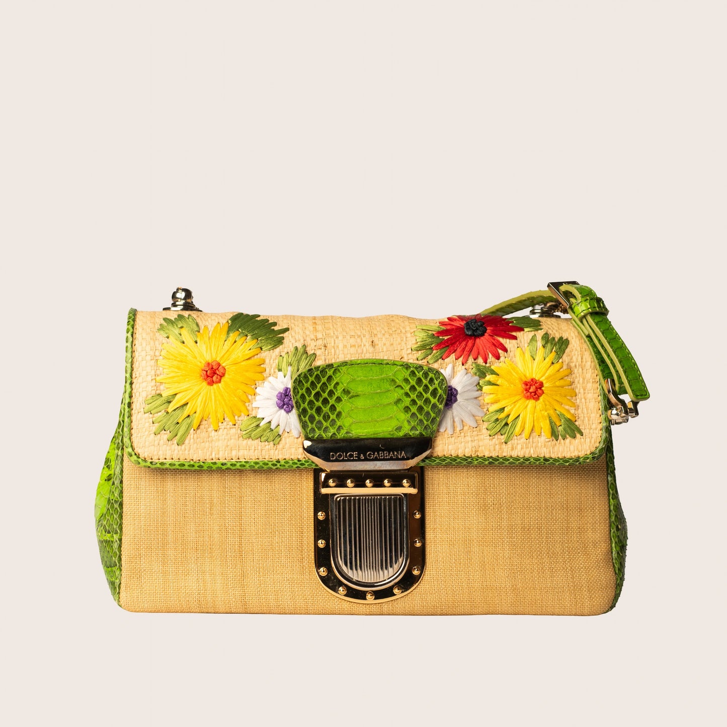 Dolce & Gabbana Raffia & Snakeskin Mini Bag