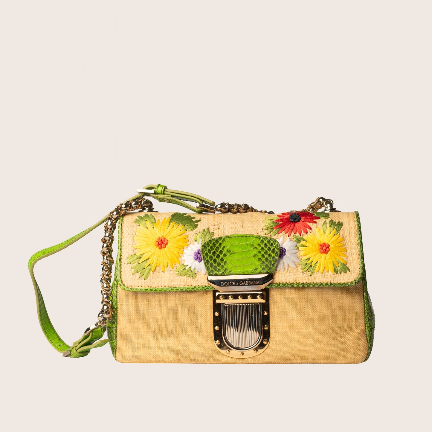 Dolce & Gabbana Raffia & Snakeskin Mini Bag