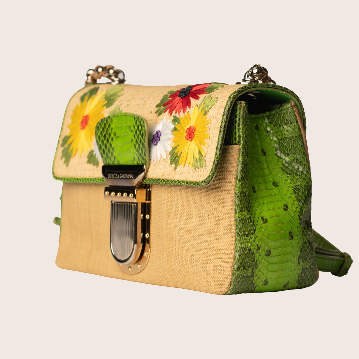 Dolce & Gabbana Raffia & Snakeskin Mini Bag