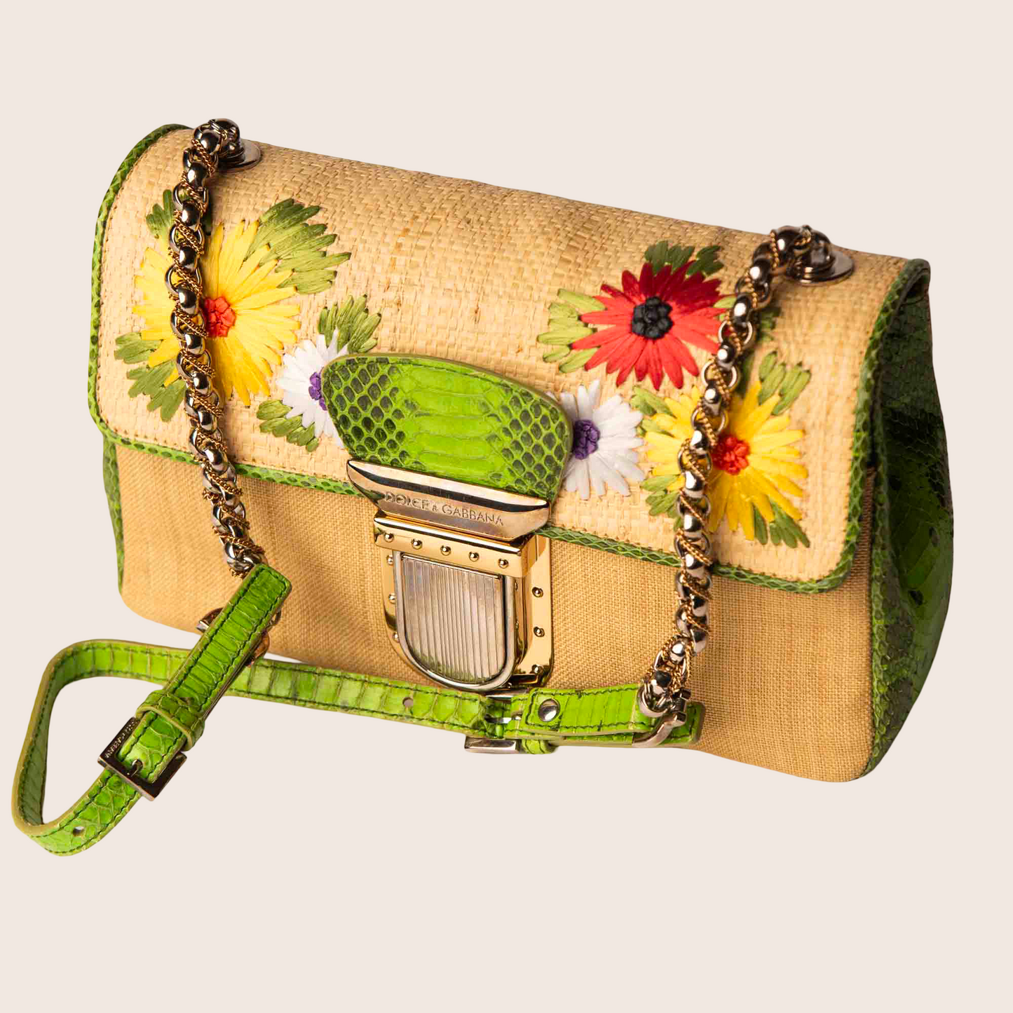 Dolce & Gabbana Raffia & Snakeskin Mini Bag