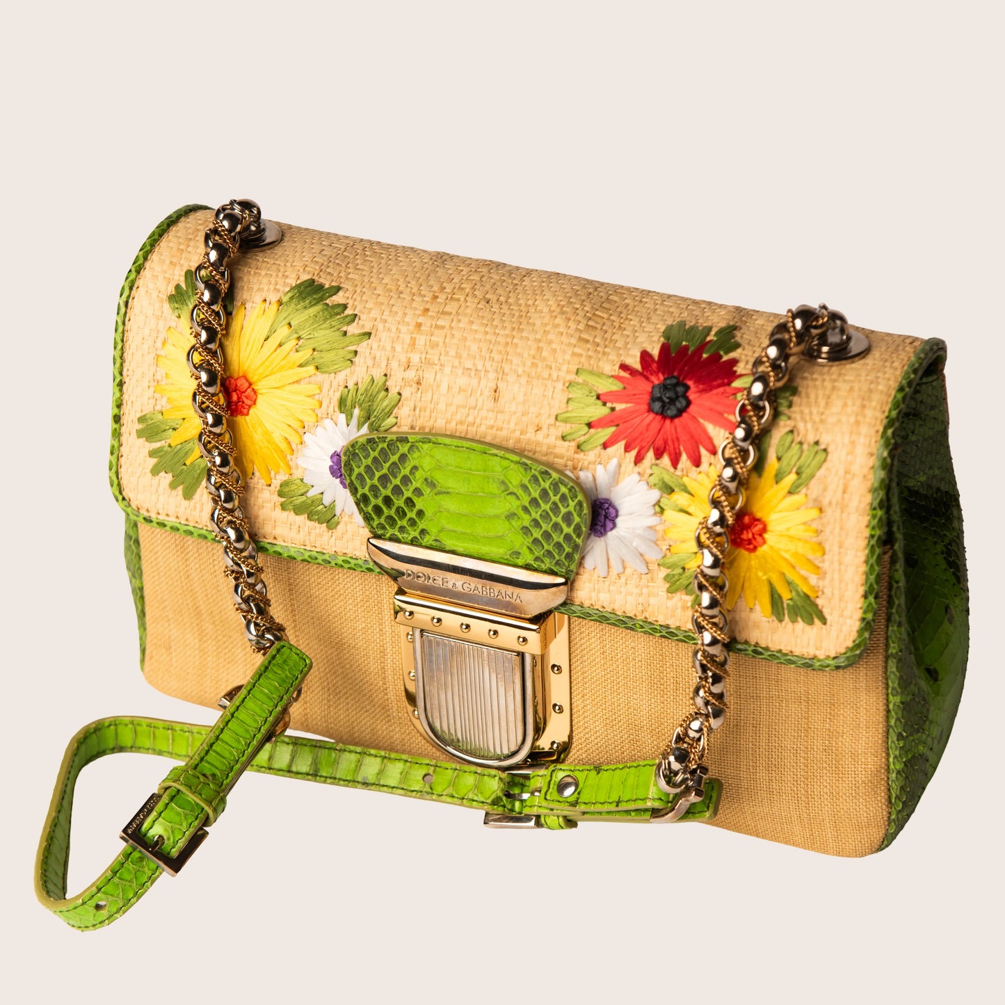 Dolce & Gabbana Raffia & Snakeskin Mini Bag