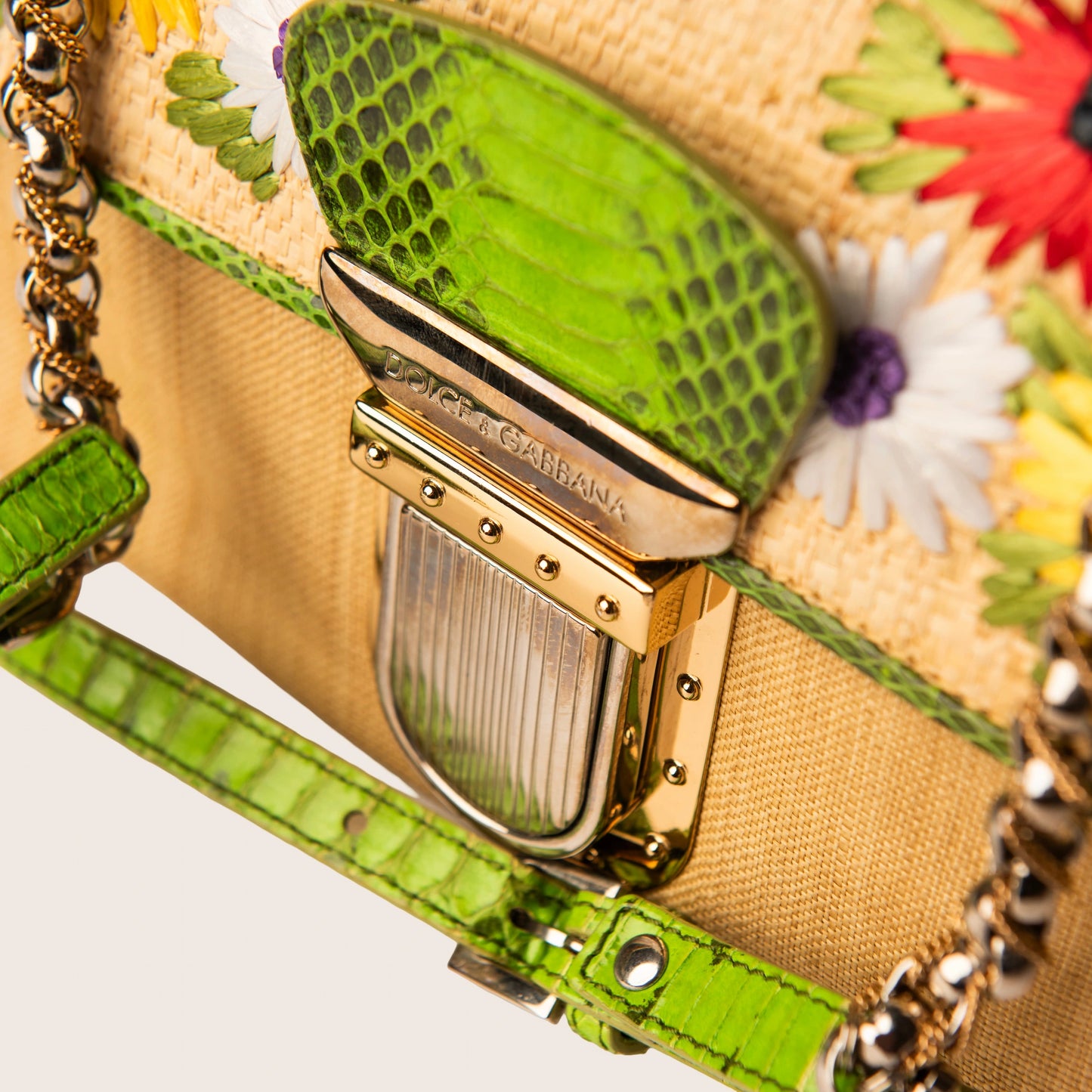Dolce & Gabbana Raffia & Snakeskin Mini Bag