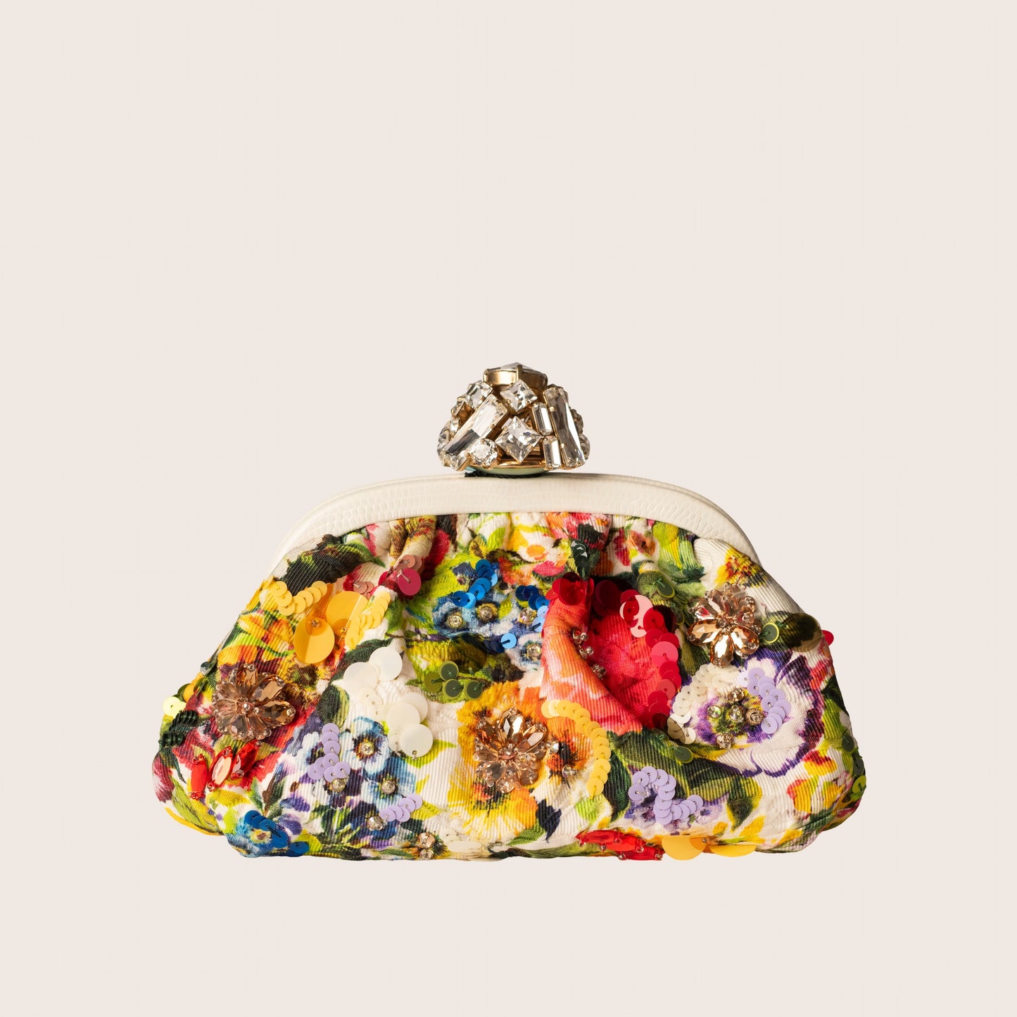 Dolce & Gabbana Canvas Minaudière
