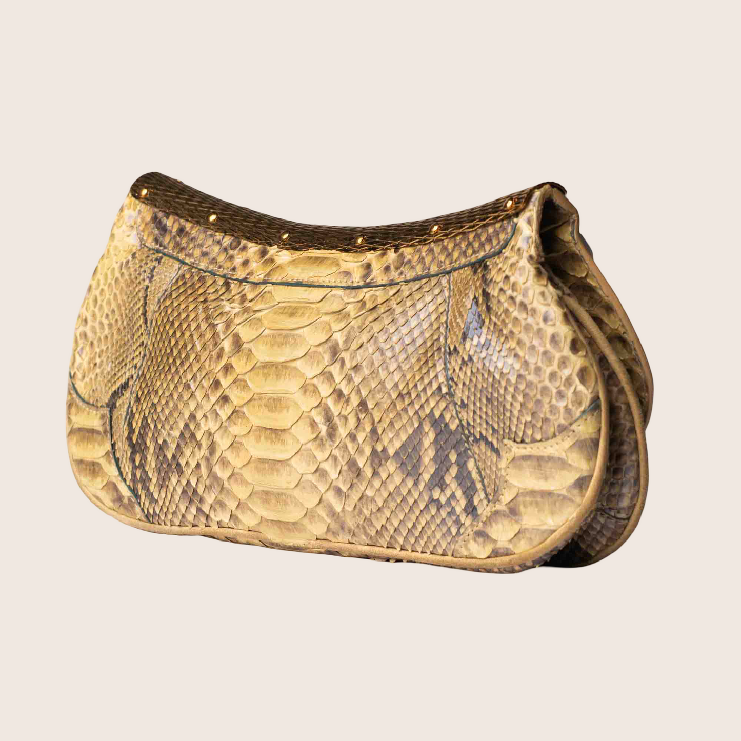 Roberto Cavalli Jeweled Python Clutch