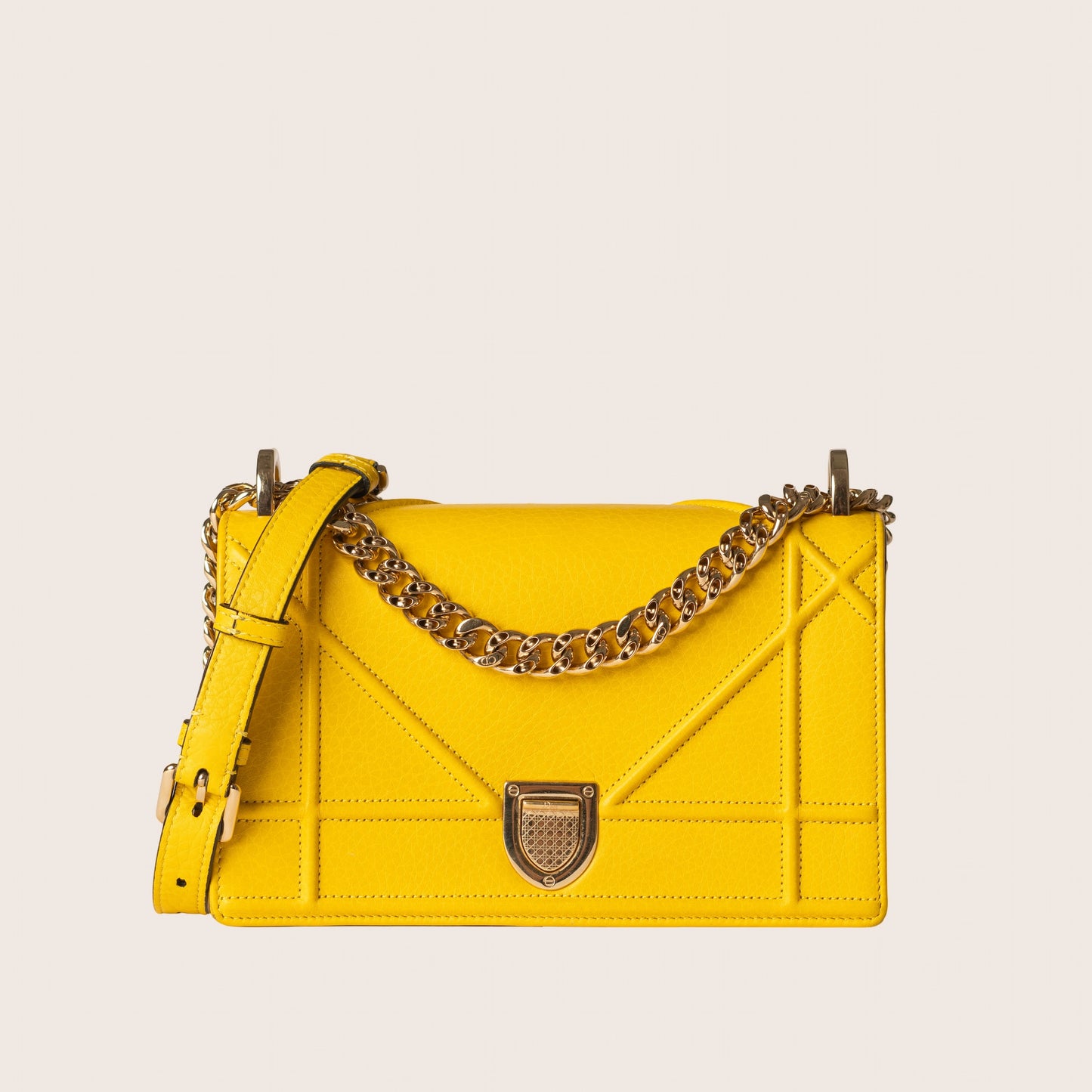 Christian Dior Medium Diorama Flap Bag