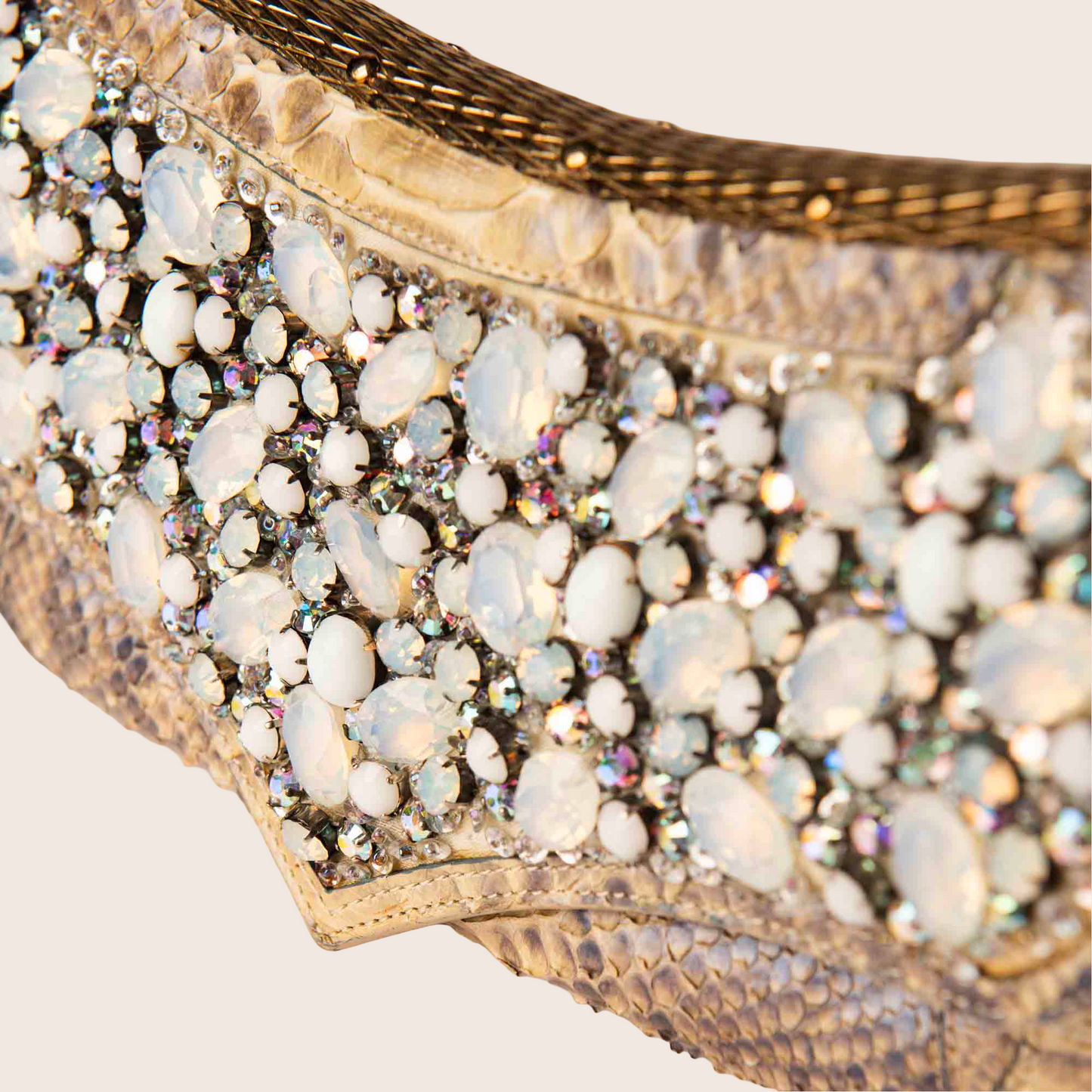 Roberto Cavalli Jeweled Python Clutch