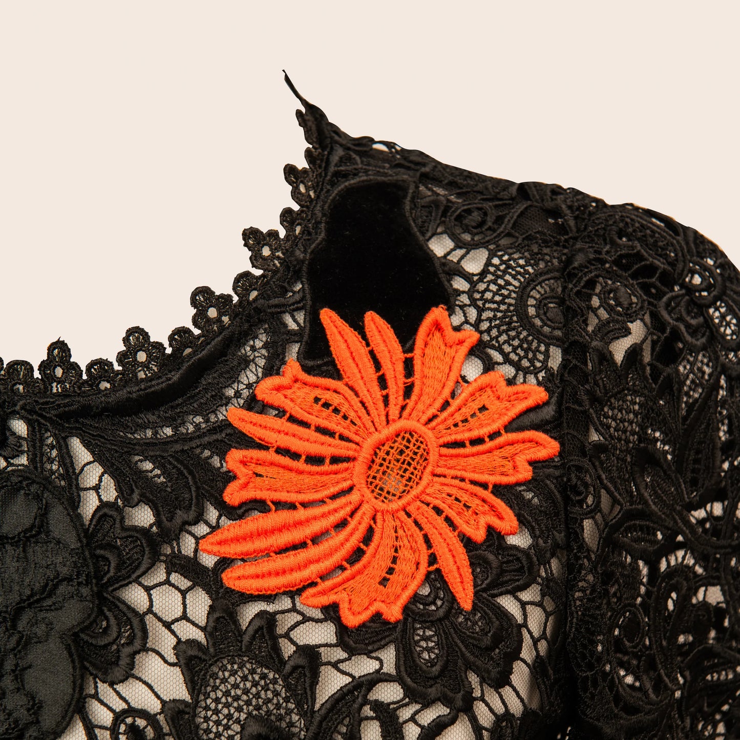 Dolce & Gabbana Floral Lace Dress
